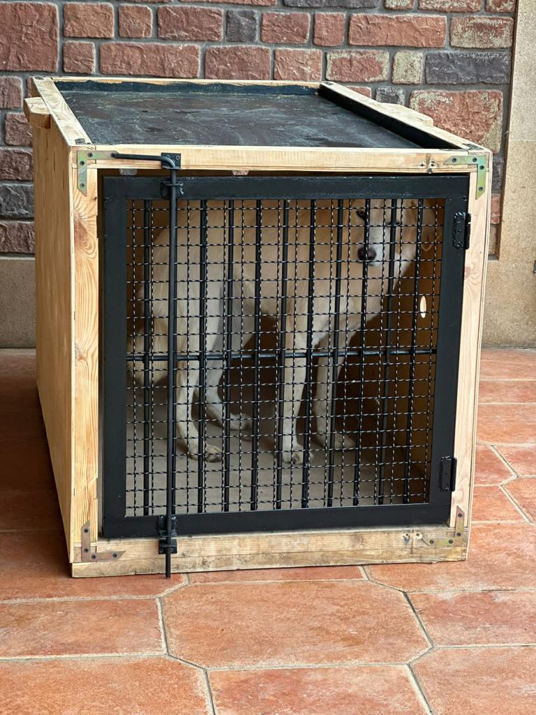 Airline Approved XL Wood Dog Crate