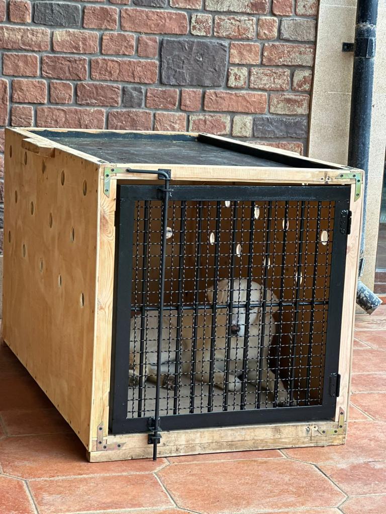 Airline Approved XL Wood Dog Crate